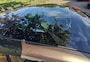 Fiat 500 E-Panodak-AdaptiveCruise-Meer...