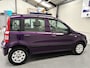 Fiat Panda 1.2 Edizione Purple Color KEURIGE AUTO !! MANUAL