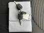 Peugeot 107 1.0-12V XR 5 Deurs Airco Keurige en Nette auto NAP