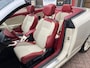 Renault Megane Coupé-Cabriolet 1.4 TCE Floride GT-Line UNIEKE Uitvoering!!!