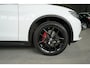 Alfa Romeo Stelvio 2.0 T AWD 280 PK | PANO | TREKHAAK | 20''