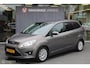 Ford Grand C-Max 1.0 Ambiente|7 Zits|Navi|Trekhaak|Boekjes