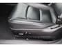 Tesla Model 3 Standard RWD Plus 60 kWh SOH 85%, Autopilot, 360 Camera, Lederen bekleding, Panoramadak