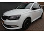 Skoda Fabia 1.2 TSI Monte Carlo Speciale uitvoering