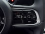 Fiat 500 Icon 42 kWh | Navigatie | all weather banden
