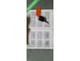 Toyota Aygo 1.0-12V Comfort Airco/5deurs/LM VELGEN