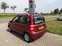 Fiat Panda 1.2 Emotion | Automatische airco | Radio | Lichtmetalen velgen