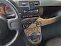 Fiat Panda 1.0 Hybrid City Cross Hoge instap