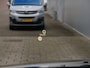 Nissan Qashqai 1.3 MHEV 141pk Tekna 360 Camera / Trekhaak / Adaptive Cruise