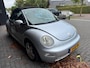 Volkswagen Beetle New Cabriolet 1.6 Turijn Cabrio