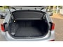 BMW X1 sDrive18i Executive | Volledig BMW dealer onderhouden |