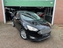 Ford C-Max 1.0 Titanium|CRUISE/CARPLAY/TRHK/NAVI VOL!