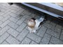 Volvo XC60 B4 Plus Dark Diesel | Platinum Grey Metallic | Intellisafe Line | Climate Line | Zwart Lederen Bekleding | Trekhaak semi Electrisch |