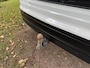 Volkswagen Tiguan 1.4 TSI Navi Leder Pano Cruise Climate Camera Trekhaak
