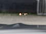 BMW X3 xDrive30e High Executive M Sport Pano HUD Keyless Memory Trekhaak