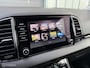 Skoda Karoq 1.5 TSI ACT Business Ed. Plus / Trekhaak / Cam