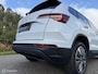 Skoda Karoq 1.5 TSI ACT Business Ed. Plus / Trekhaak / Cam