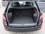 Skoda Fabia Combi 1.0 TSI Business Edition 1e Eig/Dealer onderh./Climate/PDC/AndroidAuto/Cruise