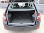 Skoda Fabia Combi 1.0 TSI Business Edition 1e Eig/Dealer onderh./Climate/PDC/AndroidAuto/Cruise