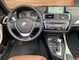 BMW 2-Serie Cabrio 220i Leer / Automaat / Lage km stand