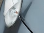 Nissan Micra 1.2 Connect Edition/NAP/Autom/Cruis/Navi