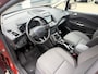 Ford C-Max TITANIUM PLUS / Achteruit rij camera / Stuurverwarming