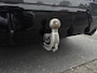 BMW 3-Serie Touring 330e xDrive |DRAVITGRAU|STOEL+STUURVERW.|TREKHAAK|CARBON|ORG.NL|NAP| 3755