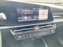 Kia Niro EV DynamicLine 64.8 kWh Navigatie / Camera /