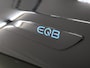 Mercedes-Benz EQB 250 Luxury Line 67 kWh | Panoramadak | Apple carplay |
