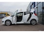 Ford Fiesta 1.0 EcoBoost Hot Hatch Edition 100PK Cruise Navi Parkeersensoren Achter Privacy Glass Bluetooth USB/AUX *Sportief*