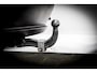 BMW X5 xDrive30i High Executive Automaat | Org. NL | Leder | Memory | Camera | Trekhaak | Panoramadak | TV