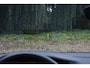 Volkswagen Golf GTI 2.0 TSI 245PK DSG GTI-SPORT HARMANN-KARDON/IQ-LIGHT/PANORAMADAK