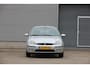 Ford Focus 1.6 I TREND 5D Centennial | 5-deurs | Lederen bekleding