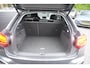 Audi Q2 35 TFSI S Edition Airco/Cruise/Camera/Park.sensoren/Carplay