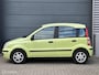 Fiat Panda 1.2 Dynamic | INRUILKOOPJE |
