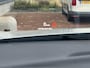 Mitsubishi Eclipse Cross 2.4 PHEV S-AWC Aut. Instyle | ACC | Trekhaak | HUD | Stoel/Stuurverwarming | Navi | Standkachel |