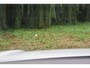 Volkswagen Touareg 3.0 TSi eHybrid ATMOSPHERE 4MOTION TREKHAAK/HEAD-UP/PANORAMADAK