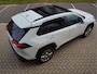 Toyota RAV4 2.5 Hybrid AWD Executive Leder | Schuif-kanteldak | Stoelverkoeling | Memorystoelen