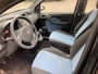 Fiat Panda 1.2 Edizione Cool