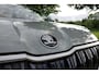 Skoda Kodiaq 1.5 TSI MHEV Business Edition 7p. | LED | Stoelverwarming | Camera | CarPlay | Navi |