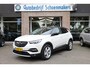 Opel Grandland X 1.2 Turbo Business Edition CARPLAY PANO HALF-LEER CAMERA 4XSTOEL/STUUR/RUITVERW. CLIMA CRUISE NAVI ELEC-KLEP DAB 2XPDC 18''LMV
