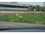 BMW X4 XDrive30i M-Pakket | Pano | 360 Camera | H&K |Head Up |