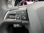 SEAT Ibiza 1.0 TSI FR Business Intense Plus|Virtual|Led|Camera|Carplay|Adaptive-cruise|Keyless|PDC