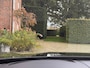 Porsche Panamera 4 E-HYBRID Pano Stoelventilatie Sportuitlaat