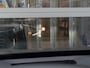 Ford Explorer Extended Range RWD 77 kWh 286 PK | AGR stoelen | Head-UP | Elektr. achterklep | Massage | Winter Pack | Adaptive Cruise C. | Draadloos laden mobiel |