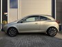 Opel Corsa 1.2-16V '111' Edition/133.000 NAP/Cruise ctrl/Airco/Trekhaak/