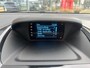 Ford B-Max 1.0 EcoB. titanium / 17 LM / Pano / Trekh