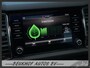 Skoda Kodiaq 1.5 TSI Business 7 Persoon Pano Trekhaak Cam