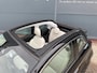 Fiat 500C E La Prima 42 kWh Cabrio *alle opties *camera etc