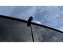 Volkswagen Crafter 30 2.0 TDI 140pk DSG L3H3 Exclusive BPM vrij! Betimmering Trekhaak Camera Led Virtual Cockpit Navigatie